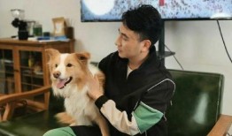 朱小贞哥哥最新爆料,揭秘朱小贞真实身份与惊人往事！